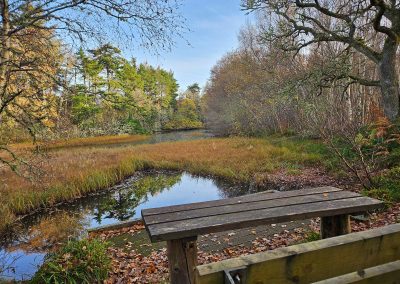 Guided by Nature - Family and Systemic Psychotherapy