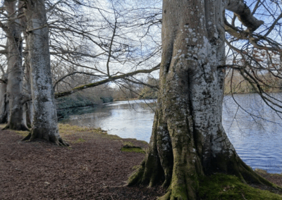 Being Still
