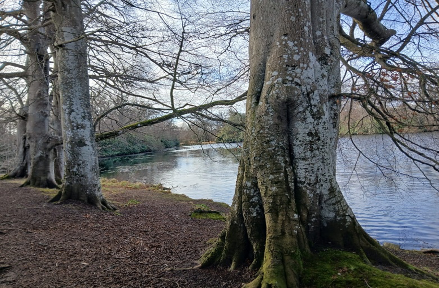 Ecosystemic-Practice Ecosystemic Practice