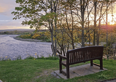 Ecosystemic Practice