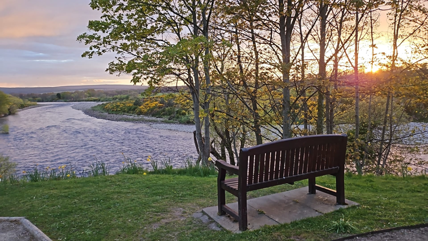 EcosystemicPractice Ecosystemic Practice